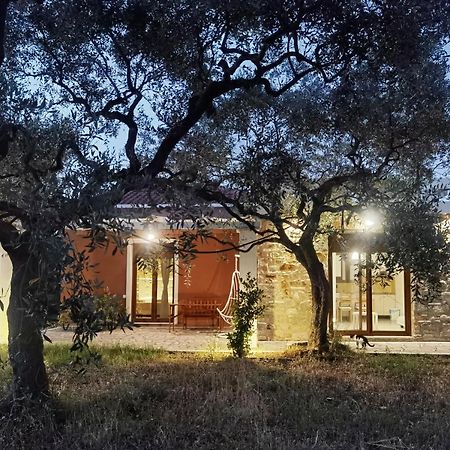 Elea Stone Houses In Organic Quiet Olive Grove, Prinos, Thassos Bagian luar foto