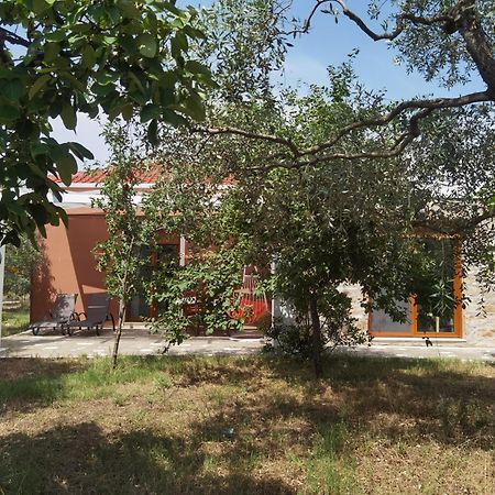 Elea Stone Houses In Organic Quiet Olive Grove, Prinos, Thassos Ruang foto