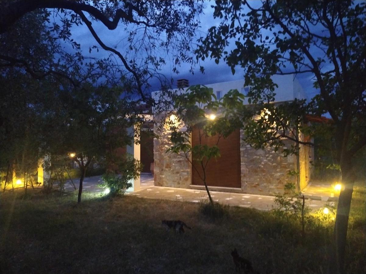 Elea Stone Houses In Organic Quiet Olive Grove, Prinos, Thassos Bagian luar foto