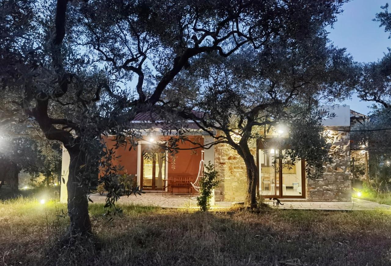 Elea Stone Houses In Organic Quiet Olive Grove, Prinos, Thassos Bagian luar foto