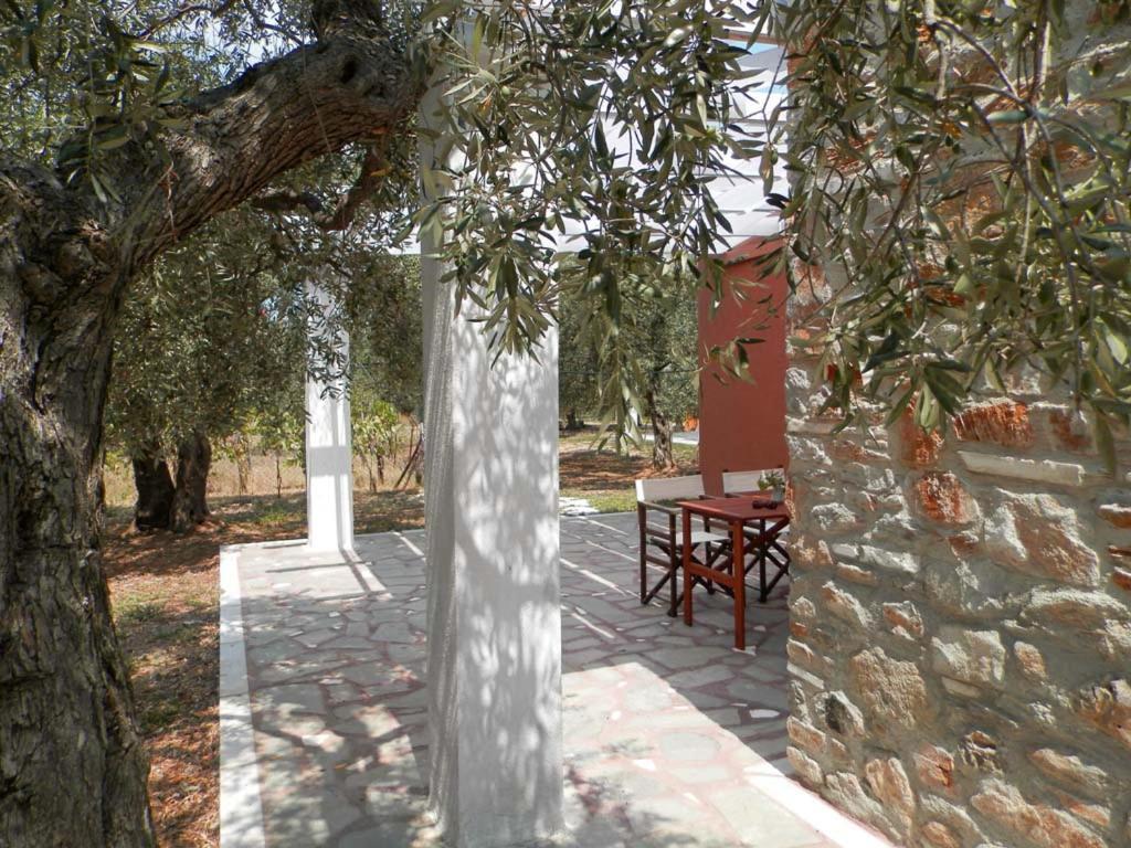 Elea Stone Houses In Organic Quiet Olive Grove, Prinos, Thassos Bagian luar foto