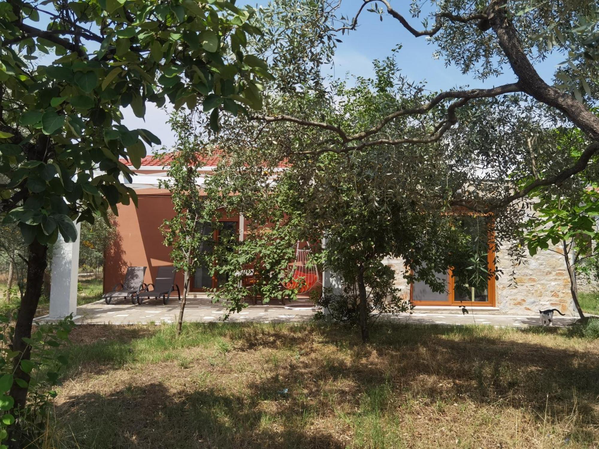 Elea Stone Houses In Organic Quiet Olive Grove, Prinos, Thassos Ruang foto