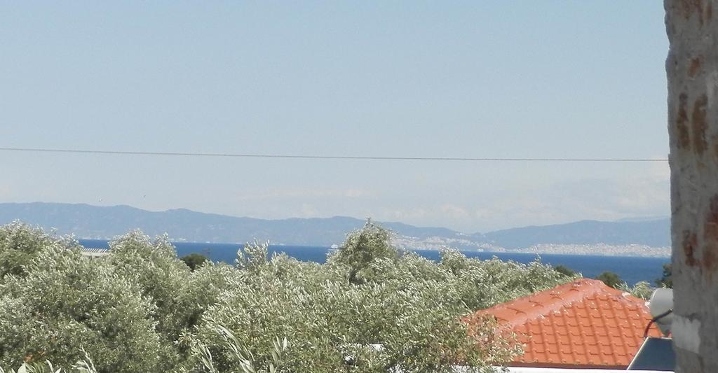 Elea Stone Houses In Organic Quiet Olive Grove, Prinos, Thassos Bagian luar foto
