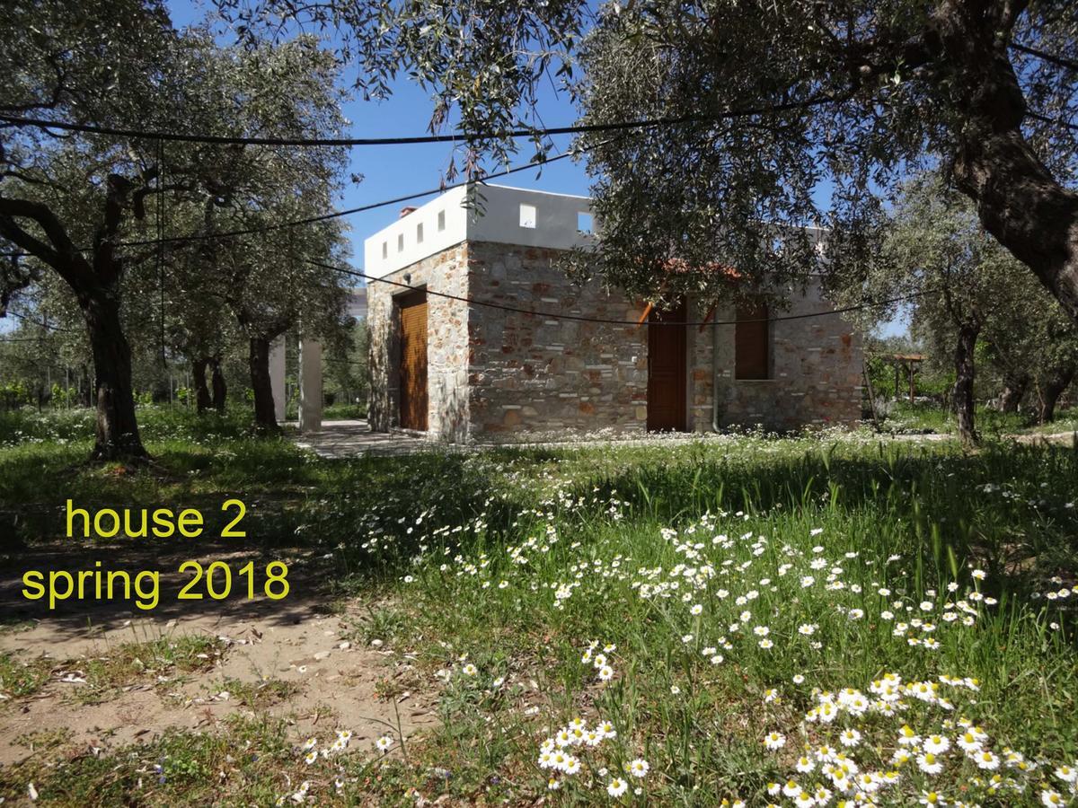 Elea Stone Houses In Organic Quiet Olive Grove, Prinos, Thassos Bagian luar foto