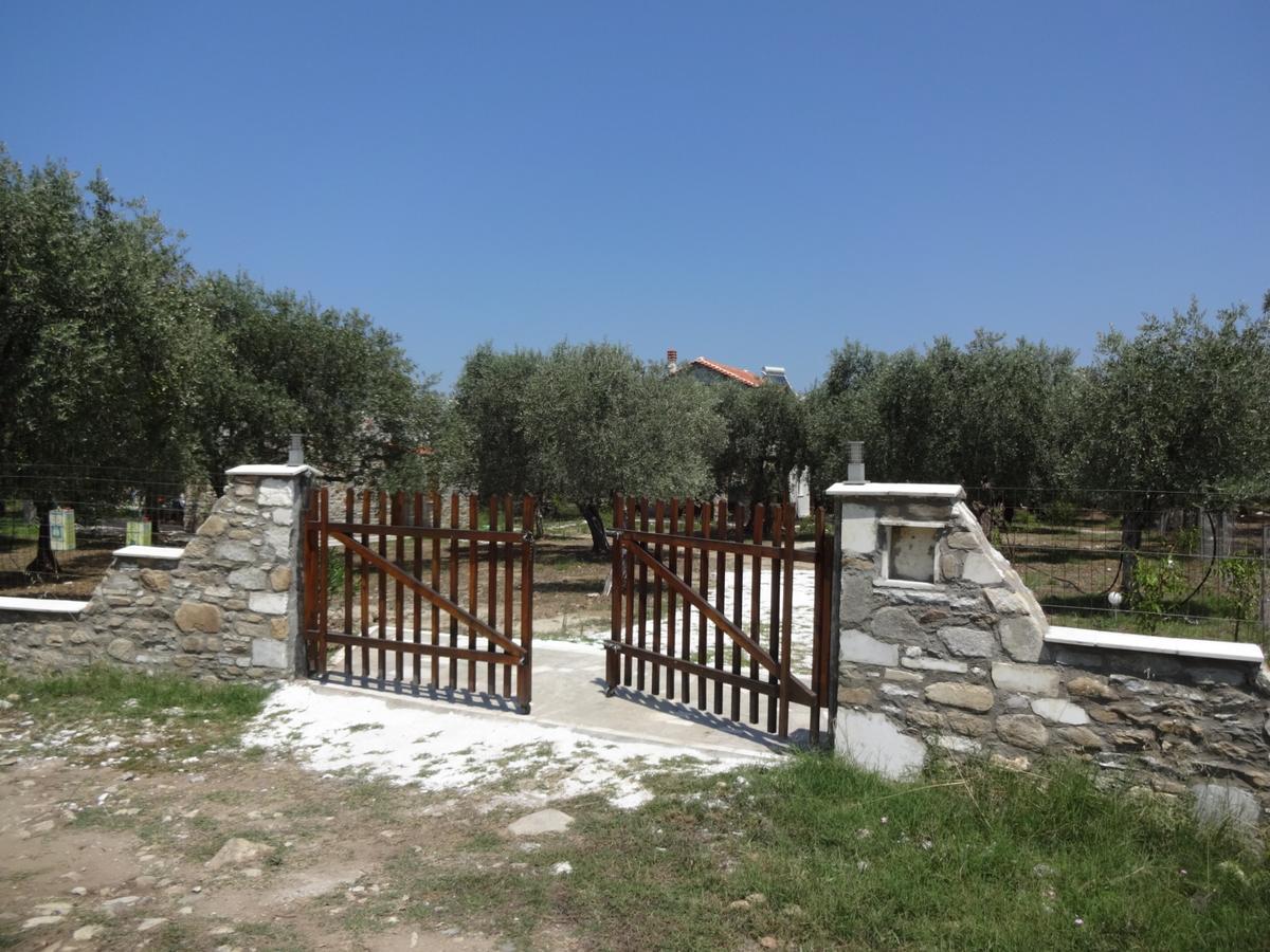 Elea Stone Houses In Organic Quiet Olive Grove, Prinos, Thassos Bagian luar foto